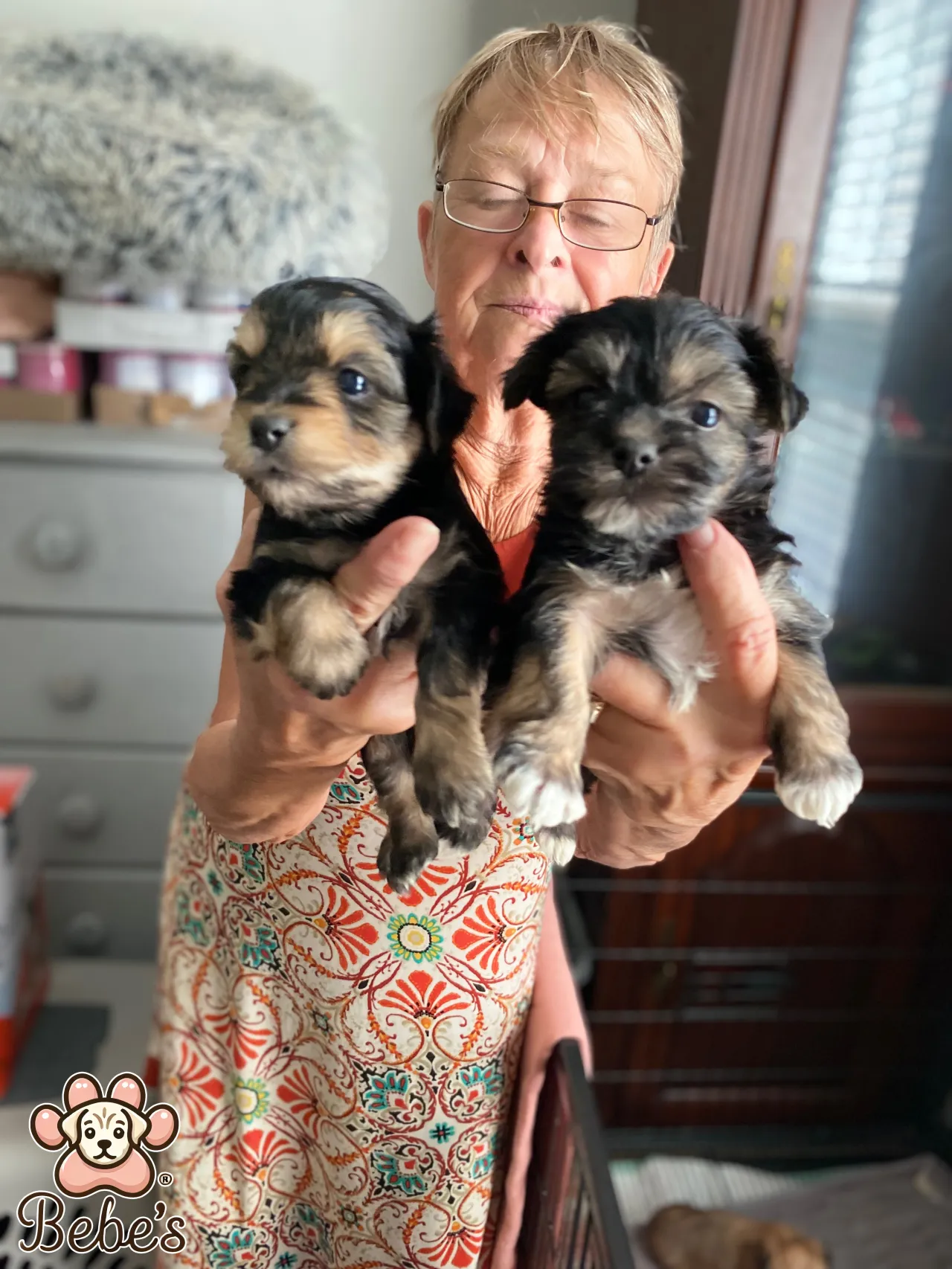 Yorkie puppies 2 males 1200.each Ckc registered 