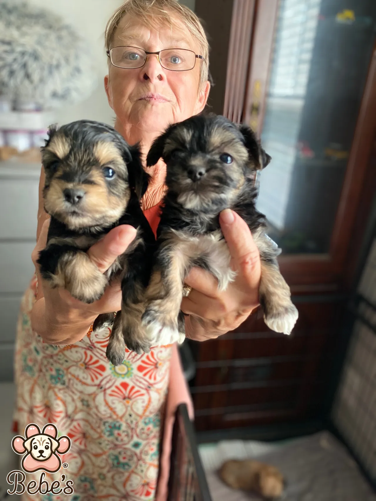 Yorkie puppies 2 males 1200.each Ckc registered 